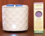 Electric Wax Warmer